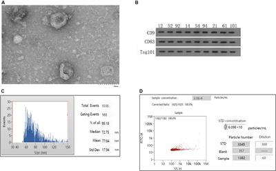 Serum Exosomal MicroRNA-21, MicroRNA-126, and PTEN Are Novel Biomarkers for Diagnosis of Acute Coronary Syndrome